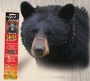 Приманка на медведя - дымящиеся палочки (запах анис) 50AS (Buck Expert, Канада)