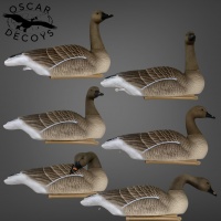     Oscar Decoys     6  FBG-3D