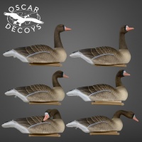     Oscar Decoys     6  FSG-3D