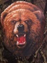 Футболка камуфляжная с рисунком "Медведь"
