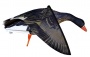 Объемное чучело белолобого гуся со складными (машущими) крыльями Seven Birds 