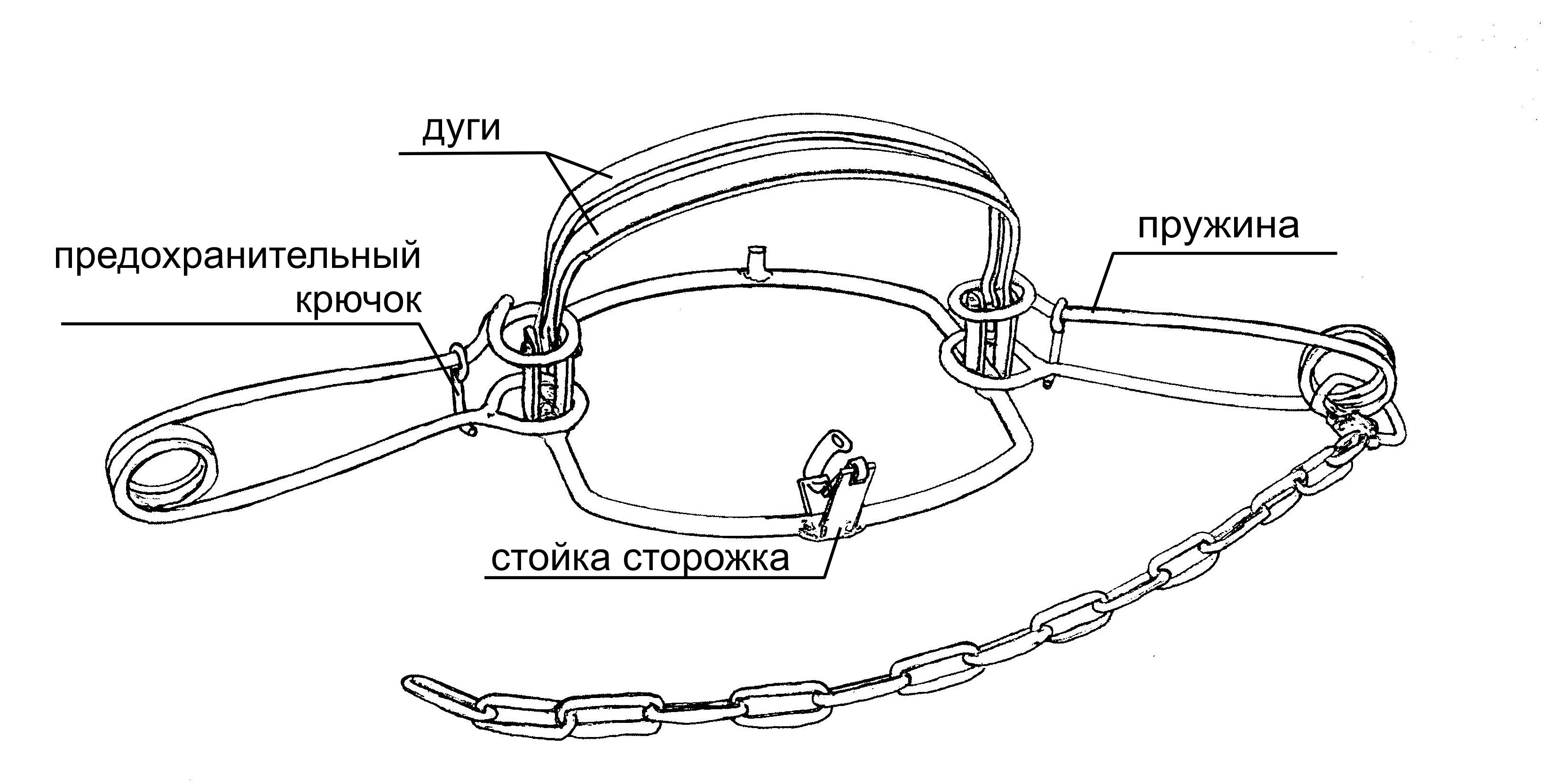 Строение медвежьего капкана