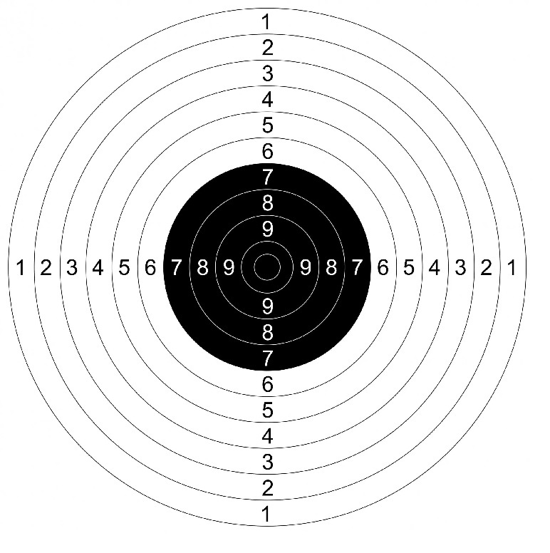 Мишень меняет направление. Мишень для стрельбы из пистолета Макарова 25 метров. Мишень 4 спортивная для пневматики. Грудная мишень 4. Мишень для пневматической винтовки на 10 метров.