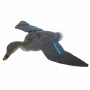 Кряква парящая (летящая) утка (Россия)